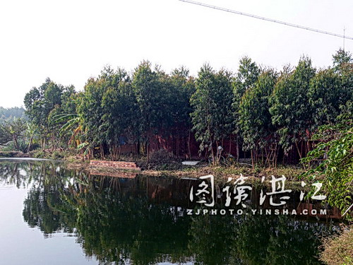 http://www.waterchina.cn/shwater/upload/200812202521967333.jpg