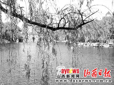 为美好的世界献上祝福_人均水量约为世界