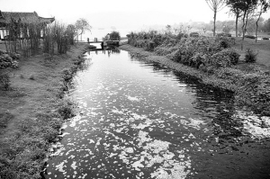 http://www.waterchina.cn/shwater/upload/200871713571222555.jpg