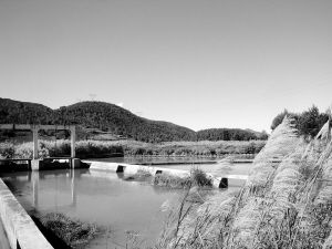 http://www.waterchina.cn/shwater/upload/2010121718574182935.jpg