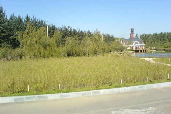 http://www.waterchina.cn/shwater/upload/201051119223590313.jpg