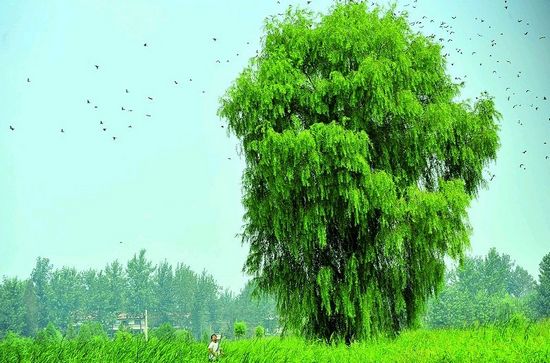 http://www.waterchina.cn/shwater/upload/20109814153264062.jpg