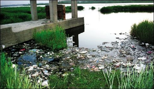 湖北省:生活污水排入新洲举水河,污水倒灌"逼停"水厂(图)