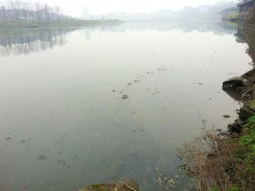 http://www.waterchina.cn/shwater/upload/2013219170260039.jpg