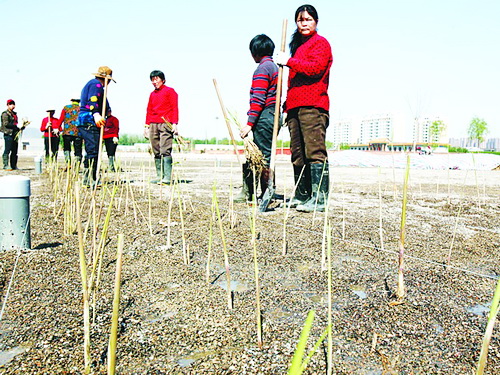 http://www.waterchina.cn/shwater/upload/201342617185380762.jpg