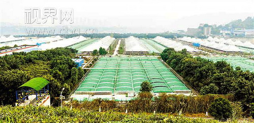 http://www.waterchina.cn/shwater/upload/201812017404614961.jpg